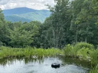 Private 10 acres with Blue Ridge Mountain Views! Enjoy any season RIGHT here!