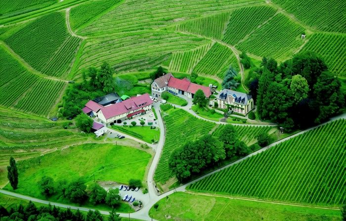 Neveu Winery Josephsberg 2
