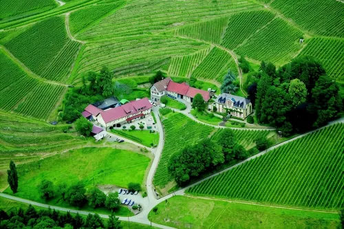Neveu Winery Josephsberg 2 - Wifi