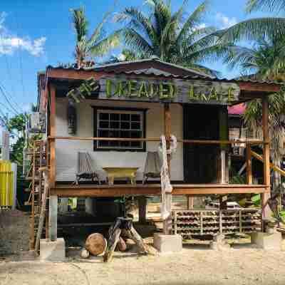Gumbo Limbo's Dreaded Grape Cabana - Steps from Ocean, Free Bikes, Free WiFi Hotel Exterior