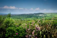 A Unique Cottage, Doolin  Breathtaking Ocean & Burren views - balcony