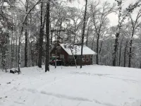Pruitt Mountaintop Cabin Rental - Wifi