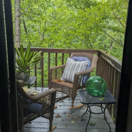 Treetop Retreat