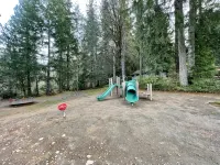 Luxurious Cabin Style Lake House walking distance to Lake Cushman - WiFi