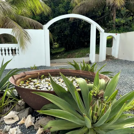 Relaxing oasis w/ pool, nature walks, calm vibes