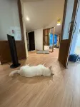당진 서현민박 - 4성급