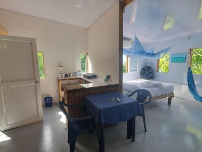 Bellavista - Blue Lizard Studio