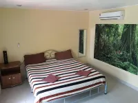 Carpe Diem Guest House - Pensions