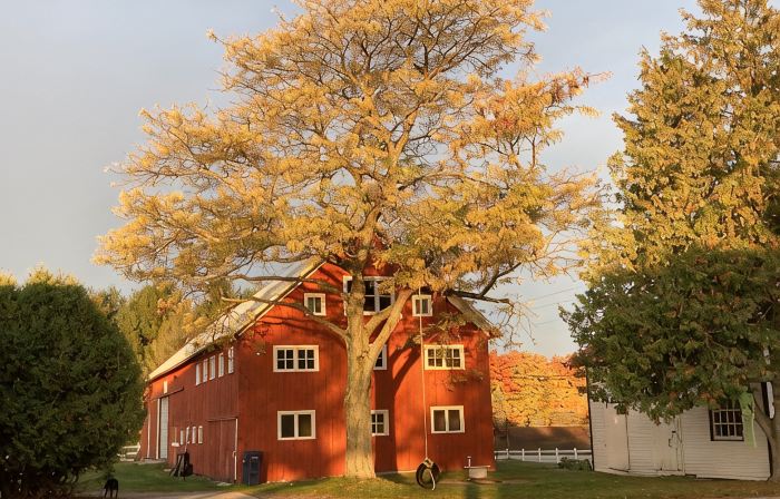Adorable apartment close to Traverse City in a beautiful farm setting