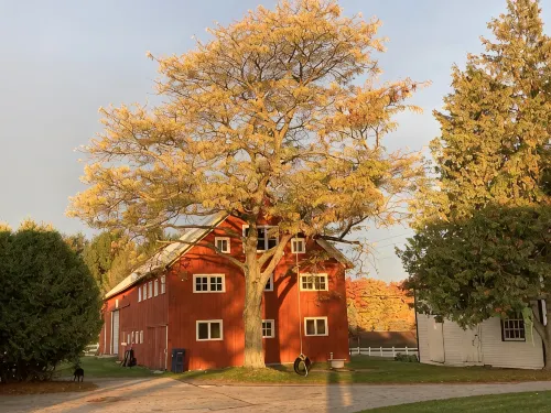 Adorable apartment close to Traverse City in a beautiful farm setting - Wi-Fi