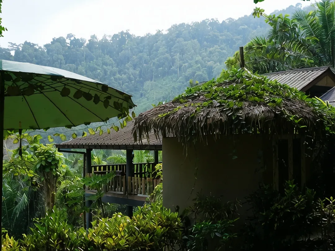 Eco Logic Thailand - Ranong