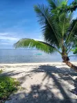Vivo Siargao