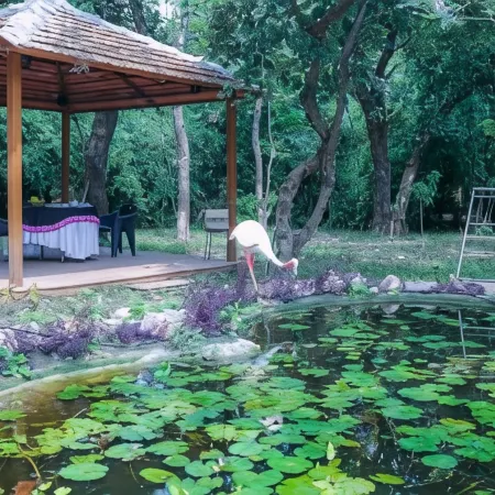Jharna Resort-Navegaon Gate