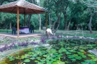 Jharna Resort-Navegaon Gate