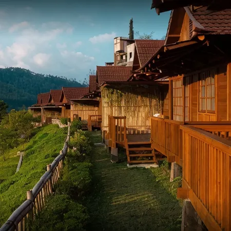 The Onsen Hot Spring Resort