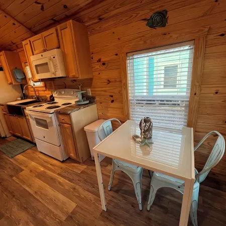 Cozy Cabins-Pet friendly, newly renovated, WiFi, kitchen, 2 bedroom Hotels in Steinhatchee