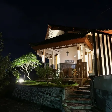Shanty's House
