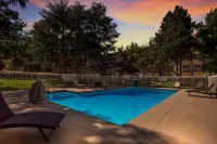 SureStay Plus Hotel by Best Western Reno Airport - Pool