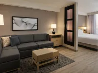 Hyatt Place Tampa Airport Hotels near Steinbrenner Field