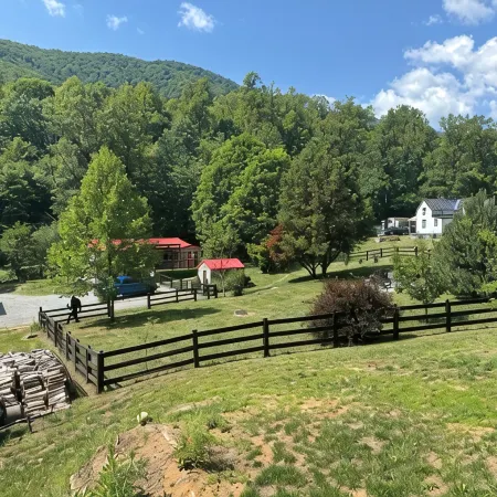 Creekfront Cabin • Fire Pit • Fenced Yard • Near Crabtree Falls