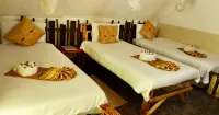Elephant Trail Guesthouse and Backpackers - 2 estrellas
