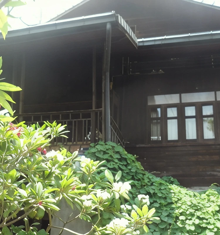 รูปภาพของบ้านฮานิบะ