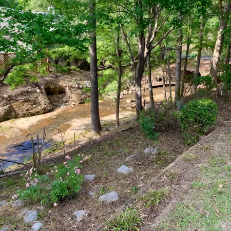 Updated Home on Creek *3 King Beds* 4 mi to UA