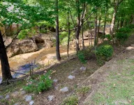 Updated Home on Creek *3 King Beds* 4 mi to UA - Wifi