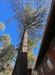 Welcome to Red Pine Retreat, your mountain getaway!