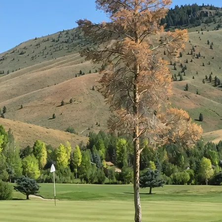 Spacious Sun Valley Escape- Ground Level, Private Porch & BBQ