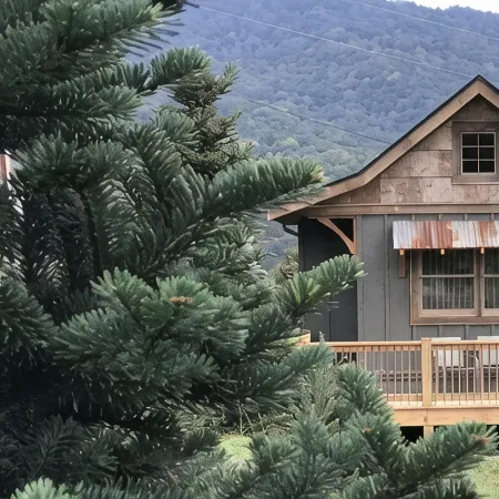 A hand-crafted cabin built in the middle of a Christmas Tree farm.