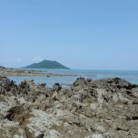 Baansukhita