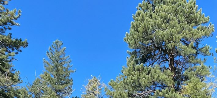 Creekside cabin Hotels in Boulder County