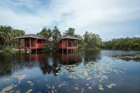 Naïa Resort and Spa - bar
