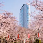 Takasaki Ekimae Plaza Hotel - Desayuno
