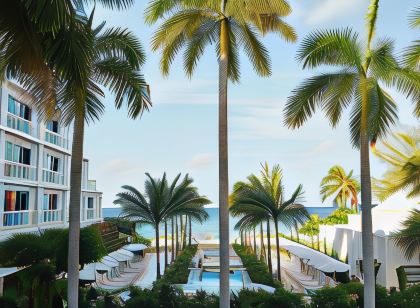 Palm Heights