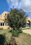 Hotel L'Escale d'Alès Hôtels à : Saint-Jean-de-Ceyrargues