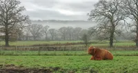 Hillview Park Hotels in Strathpeffer