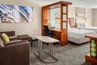 SpringHill Suites Long Island Brookhaven Hôtels à : North Bellport