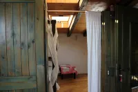 Superior Studio Apartment in Sea Front - Homestays