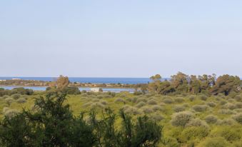 Masseria Costanza Luxury Retreat