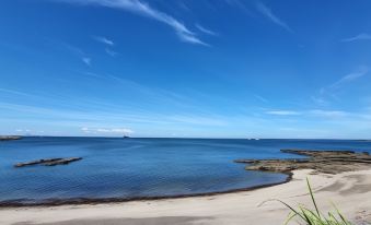 1. La vista..