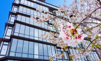 Zonk Hotel Nakasu-Deaibashi