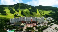 Wellihilli Park Resort