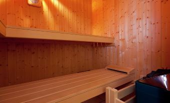 Modern Apartment in Bolsdorf with Sauna