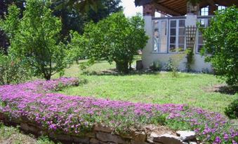 Maison Iris