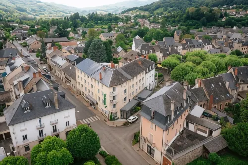 Logis Hôtel Restaurant de France - Pet friendly