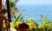 Uday Samudra Leisure Beach Hotel & Spa - Ocean View