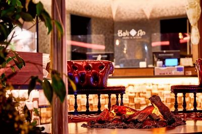 フロントデスク ホテルバリアンリゾート新宿グランピング店 - 大人限定の写真