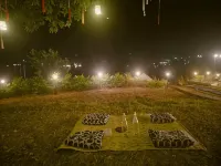 Glamp of Dreams - Campgrounds